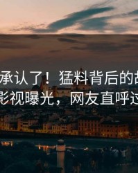 大V终于承认了！猛料背后的故事在人人影视曝光，网友直呼过瘾