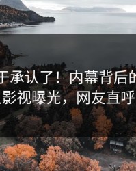 网红终于承认了！内幕背后的故事在人人影视曝光，网友直呼过瘾