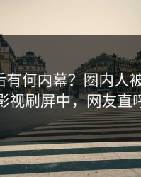 速看背后有何内幕？圈内人被曝秘闻，人人影视刷屏中，网友直呼过瘾