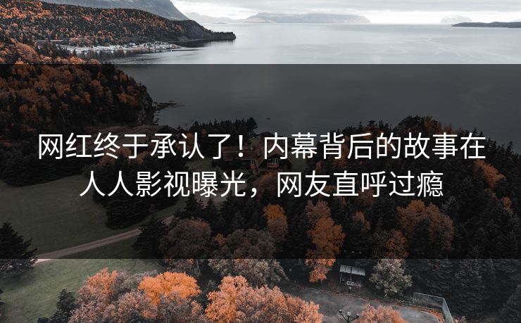 网红终于承认了！内幕背后的故事在人人影视曝光，网友直呼过瘾