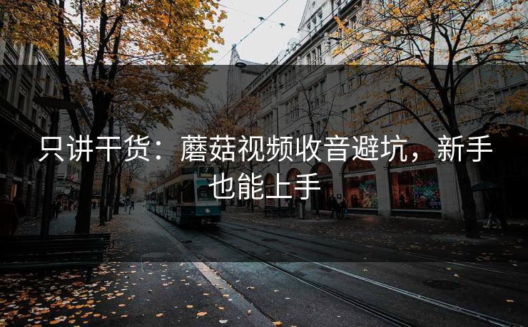 只讲干货：蘑菇视频收音避坑，新手也能上手